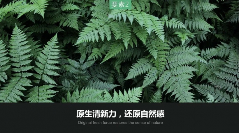 1710312840703982.jpg 7.jpg